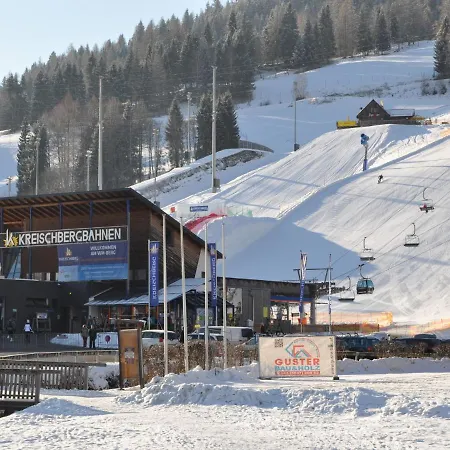 Voguish In Sankt Georgen Ob Murau Near Area *